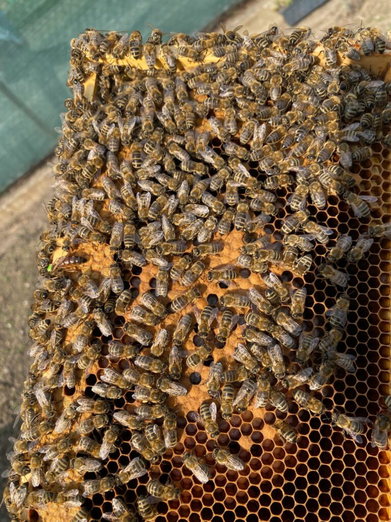 WhatsApp Image 2026 03 24 At 10.29.49 768x1024