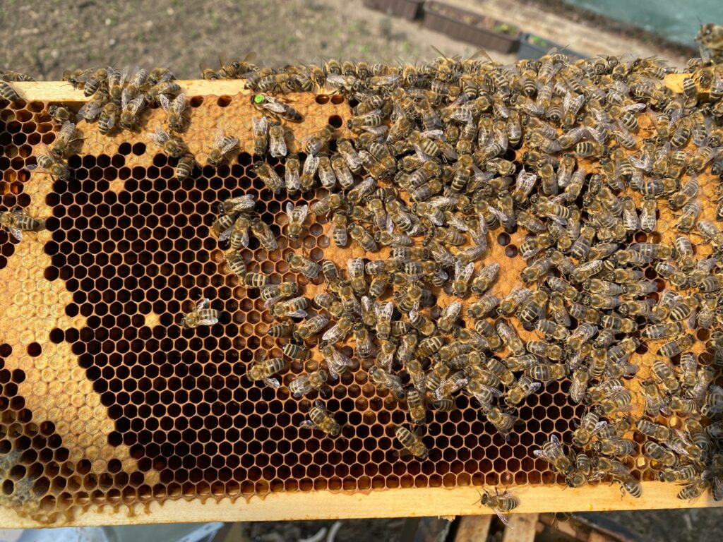 WhatsApp Image 2026 03 24 At 10.29.491 1024x768