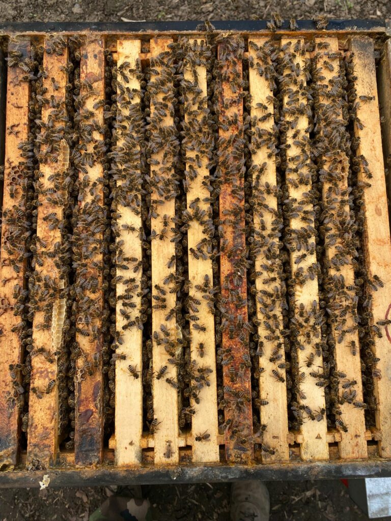 WhatsApp Image 2026 03 24 At 10.29.503 768x1024